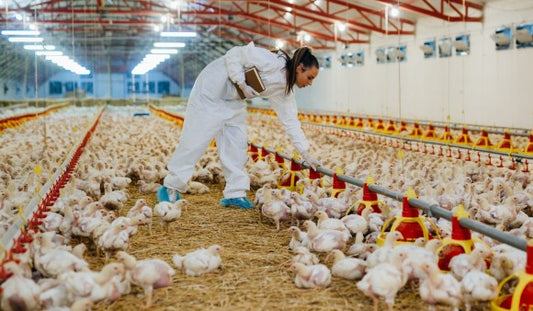 Advancements in Livestock Biosurveillance Methods