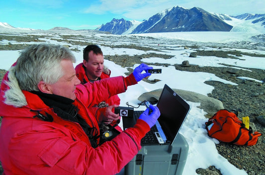 Arctic Snow Microbiome: A Metagenomic Study Employing Field Concentration Techniques and Next-Generation Sequencing