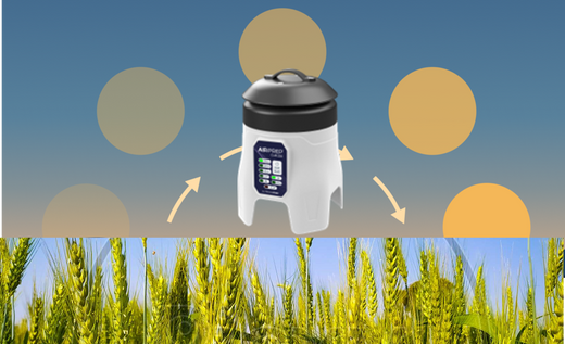 24-Hour Air Sampling for Pathogenic Plant Fungi: New Insights into Airborne Spore Dynamics