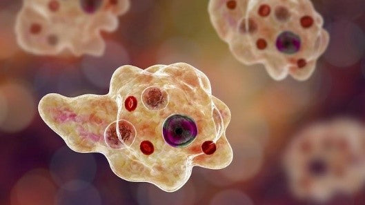 Legionella and Amoeba Concentration from Water Systems and Cooling Towers for Improved Detection