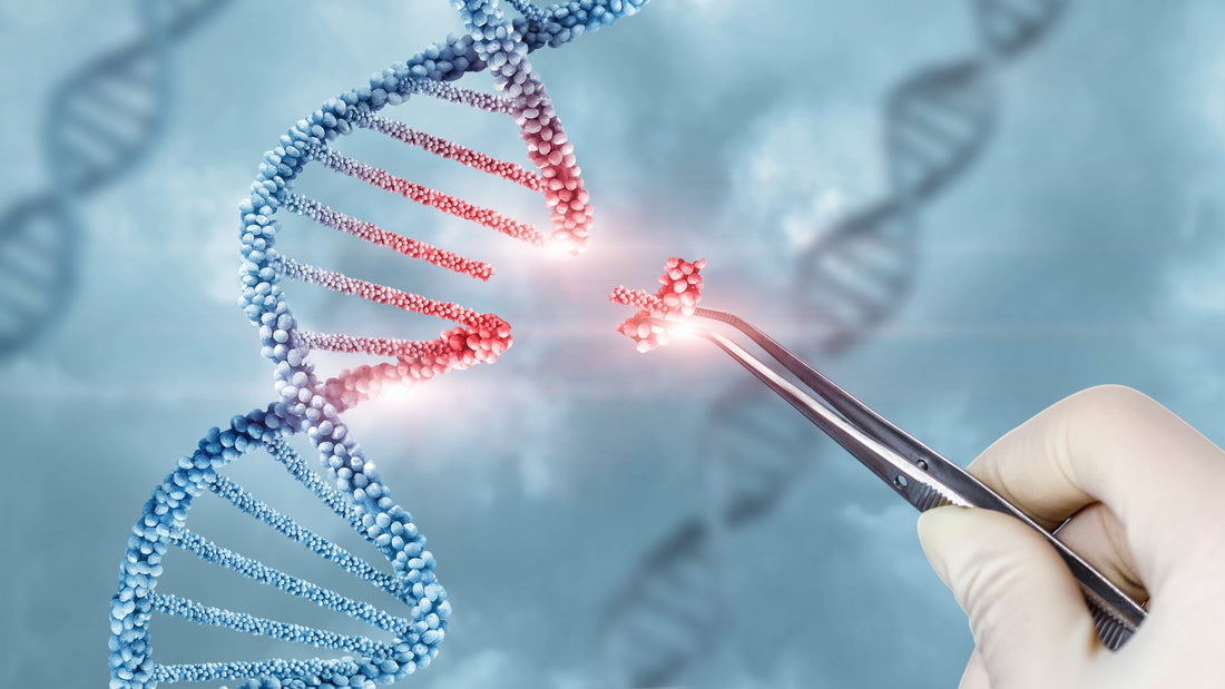 Rapid Sterility Testing for Gene Therapies Using the Concentrating Pipette™