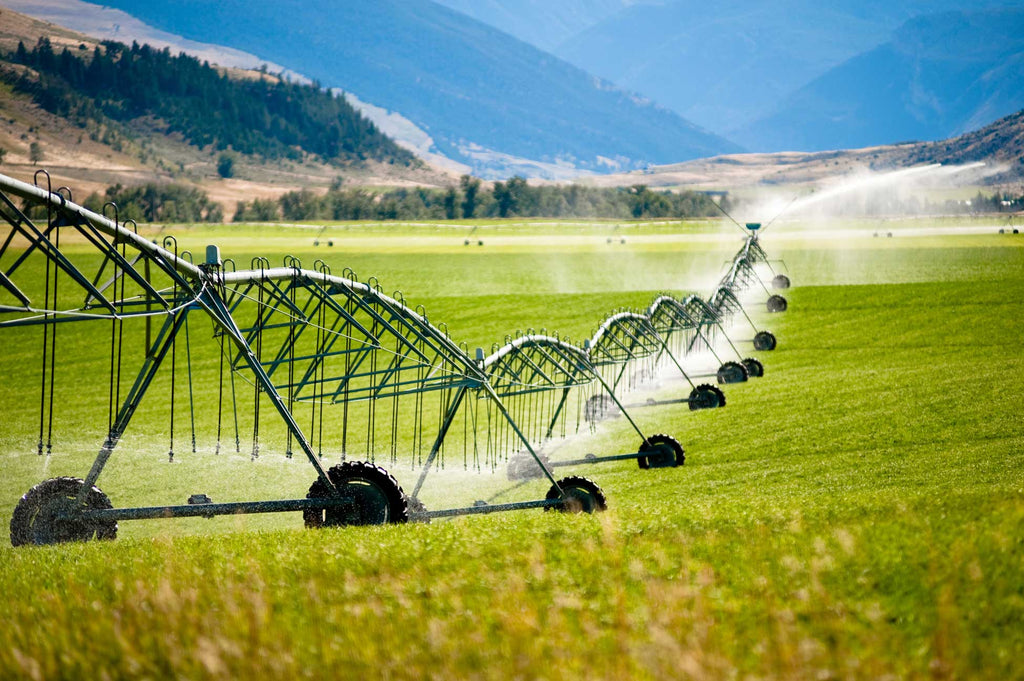 Assessing Microbial Quality of Irrigation Waters with FluidPrep™