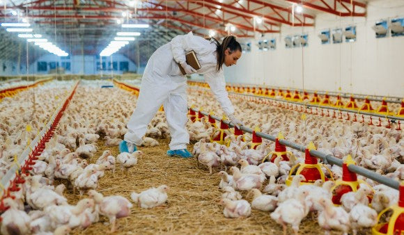 Advancements in Livestock Biosurveillance Methods