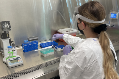 Genomic Surveillance of Avian and Human Influenza A Viruses Through Wastewater Monitoring