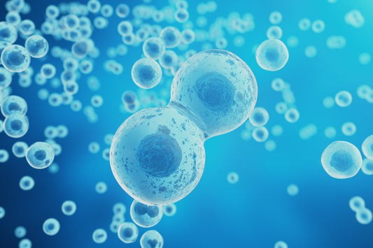 Extracellular Shed Vesicle Isolation Using the Concentrating Pipette™