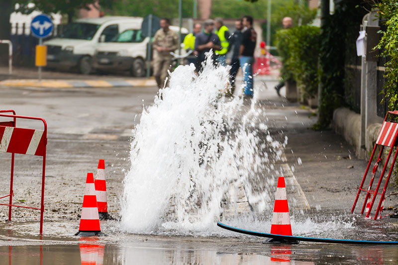 Rapid Microbial Source Tracking for Drinking Water Emergency Response Using CP Select™