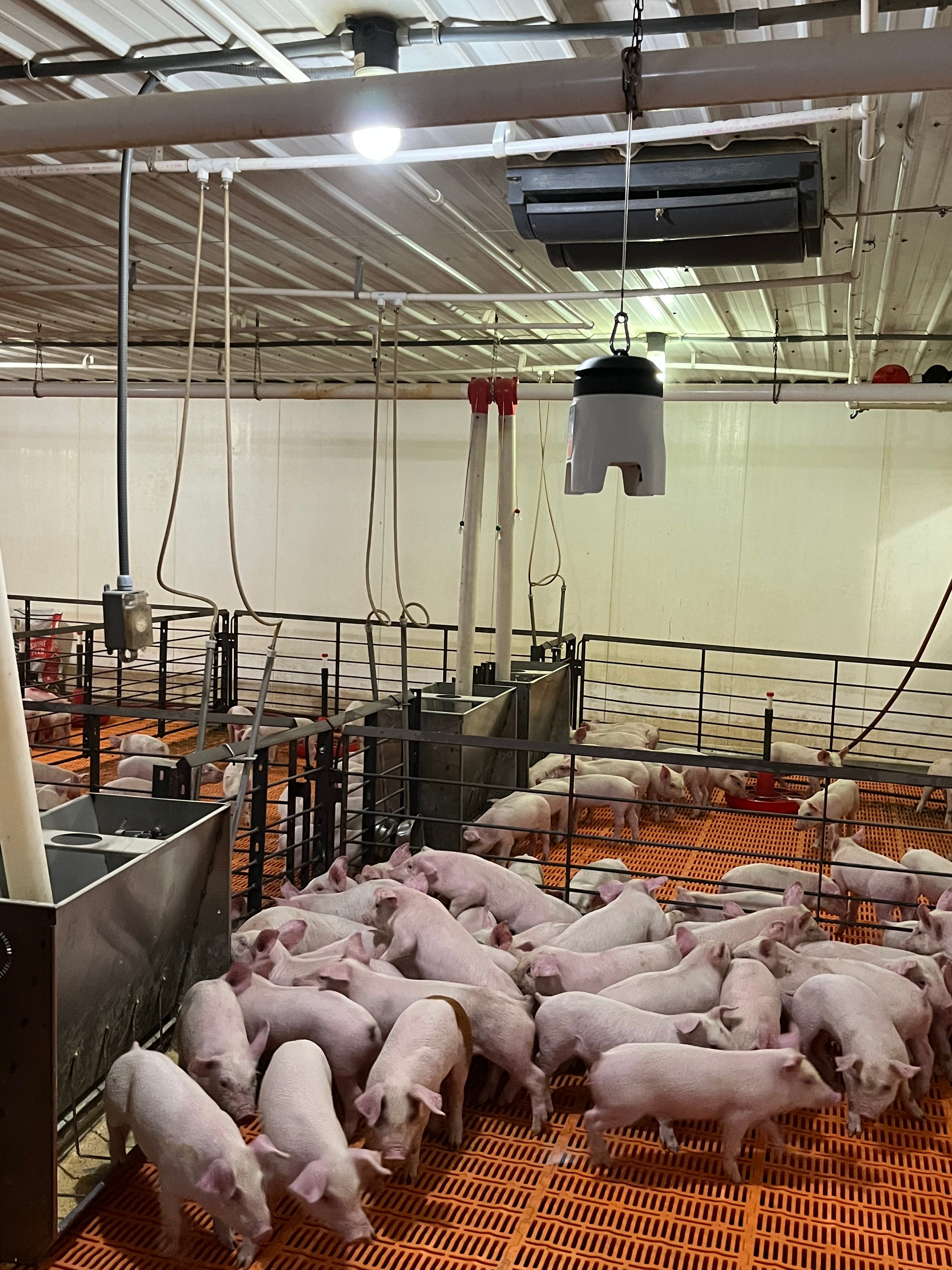 AirPrep™ Cub Sampler